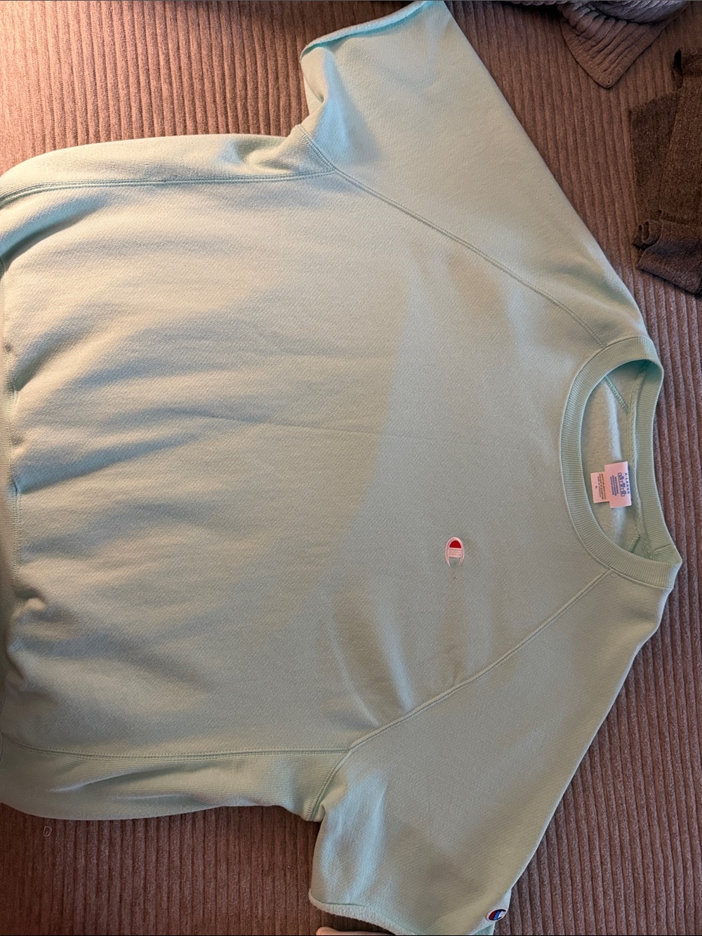 Champion Light Mint Green Embroidered Logo Crewneck